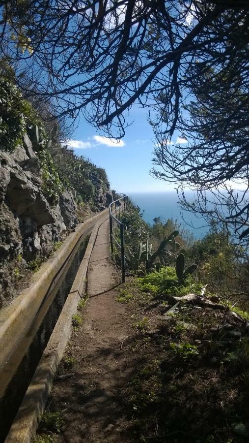 Rib Brava Garden Apartment Ribeira Brava Luaran gambar